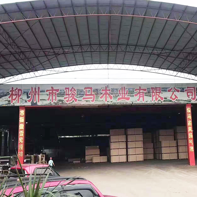 Liuzhou Horse Base on display